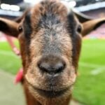 แชร์ประสบการณ์ สล็อต แจก สูตร ชนะรางวัลใหญ่