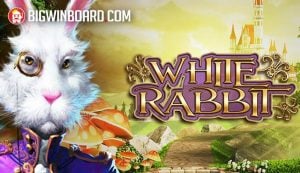 Hip Hop Pzet casinoanda ทดลองเล่นฟรีfun88 ถอนเงิน ไม่ ได้